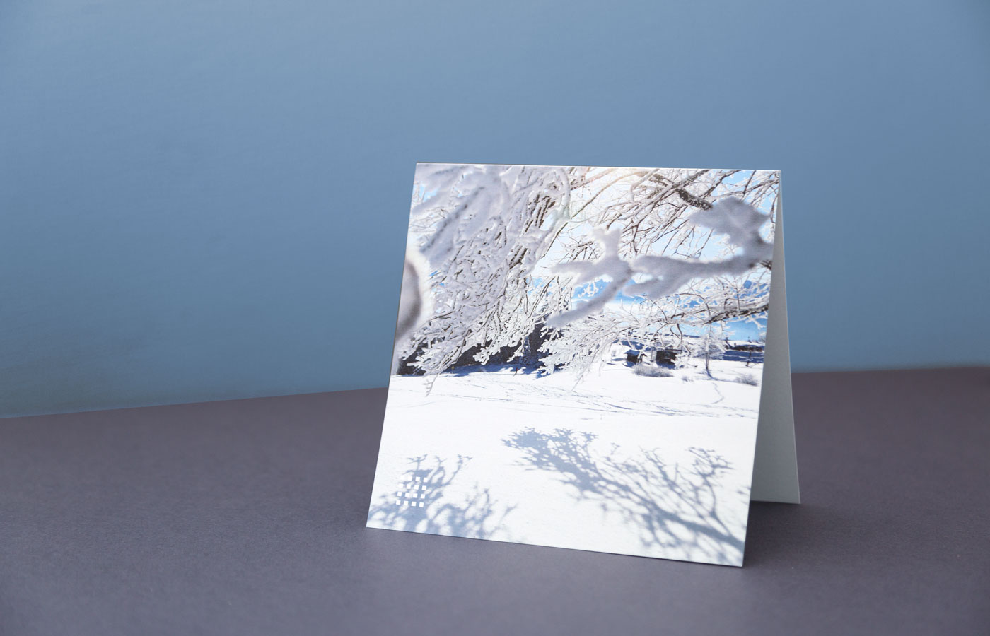 Weihnachtskarte für Fairway Finanzberatung mit Schneebild, fotografiert von Marina Hobi